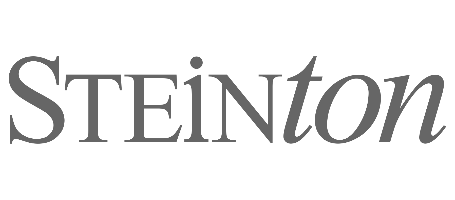 Logo SteinTon